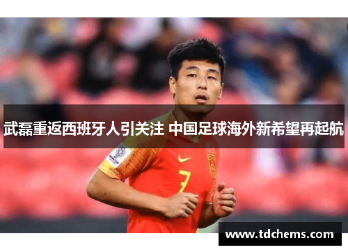 武磊重返西班牙人引关注 中国足球海外新希望再起航